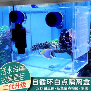 大鱼缸隔离盒养小鱼可以吗：在大鱼缸中使用隔离盒养小鱼需要注意以下几点