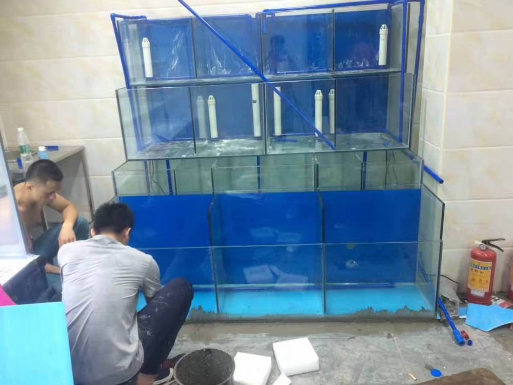 玻璃鱼缸漏水怎么处理视频：玻璃鱼缸出现漏水怎么办