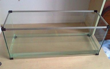 玻璃 鱼缸：如何选择合适的玻璃鱼缸