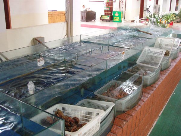 超市玻璃鱼缸制作方法视频教学：佛山玻璃鱼缸制作方法