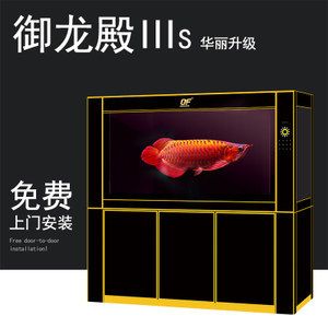 金龙鱼缸宽度多少合适养鱼：金龙鱼缸宽度多少合适养鱼金龙鱼缸宽度多少合适