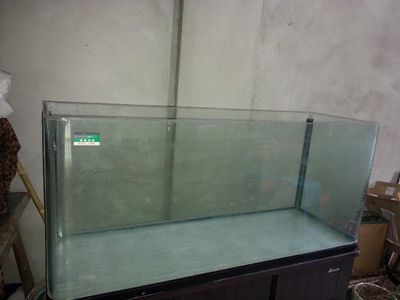 大苏打鱼缸放多少水合适养鱼虾：养鱼时鱼缸的水位应该如何选择？