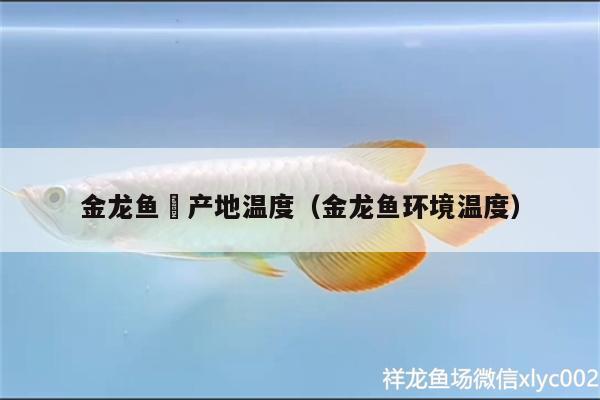 金龙鱼厡产地温度（金龙鱼环境温度） 熊猫异形鱼L46