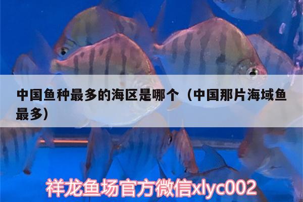 中国鱼种最多的海区是哪个（中国那片海域鱼最多） 鱼缸水质稳定剂