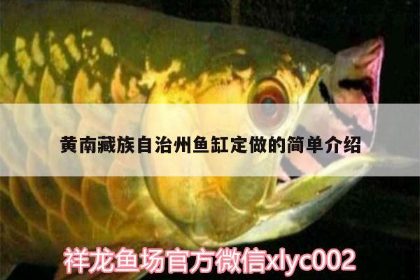 黄南藏族自治州鱼缸定做的简单介绍 鱼缸