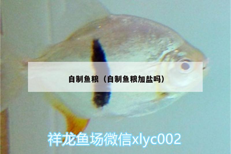自制鱼粮（自制鱼粮加盐吗） 广州水族器材滤材批发市场