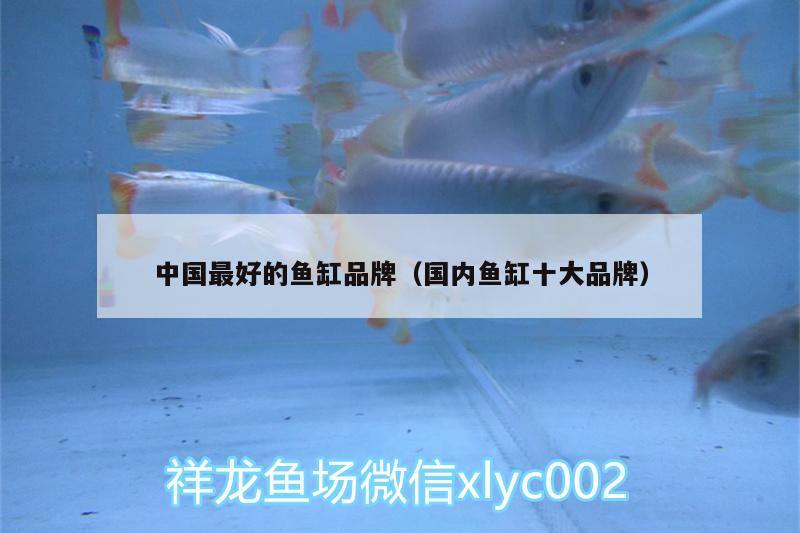 中国最好的鱼缸品牌（国内鱼缸十大品牌）