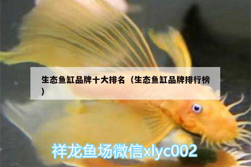 生态鱼缸品牌十大排名（生态鱼缸品牌排行榜） 黄鳍鲳鱼