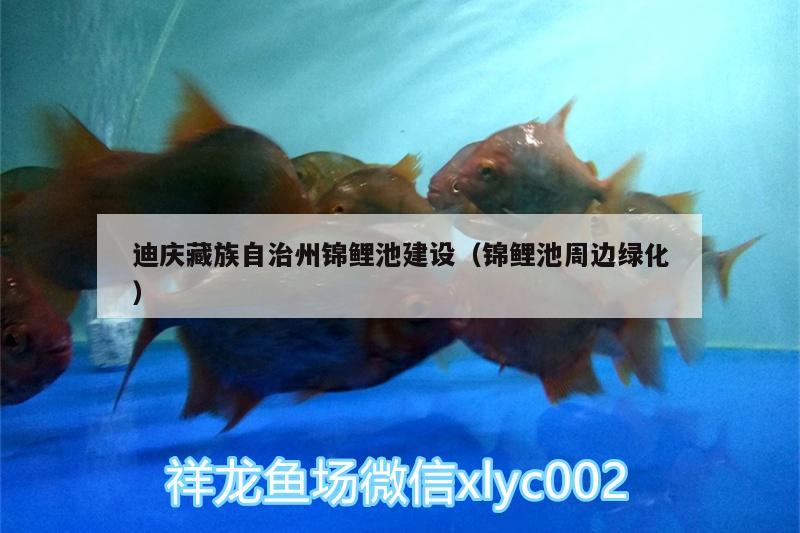 迪庆藏族自治州锦鲤池建设（锦鲤池周边绿化） 鱼缸
