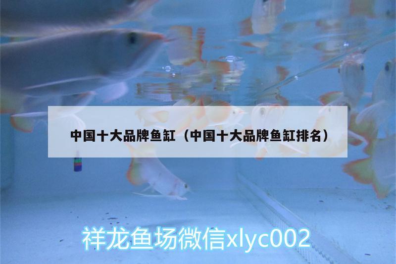 中国十大品牌鱼缸（中国十大品牌鱼缸排名）