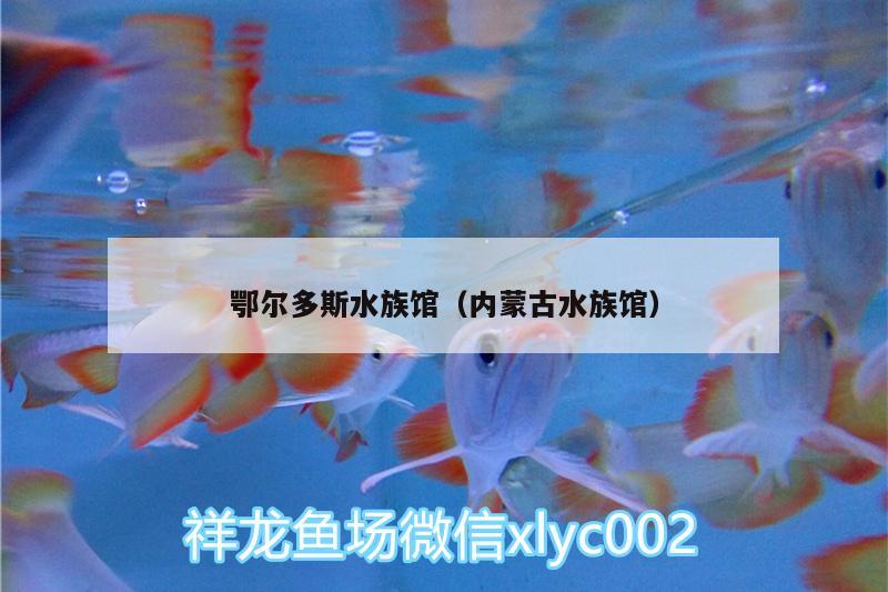鄂尔多斯水族馆（内蒙古水族馆） 祥龙传奇品牌鱼缸 第1张