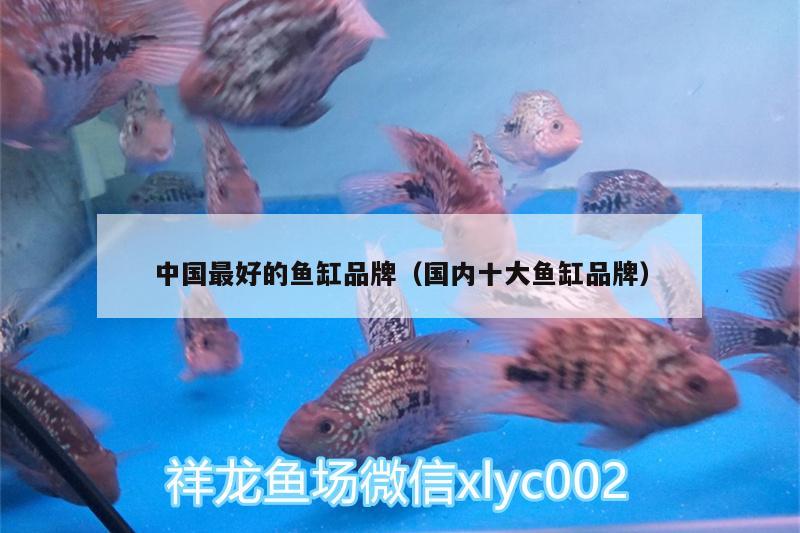 中国最好的鱼缸品牌（国内十大鱼缸品牌）