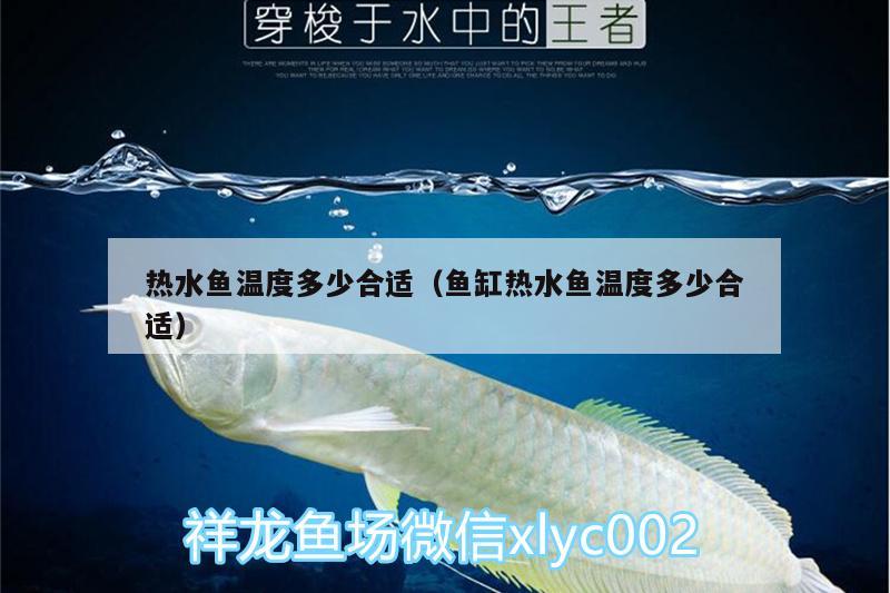 热水鱼温度多少合适（鱼缸热水鱼温度多少合适） 广州水族器材滤材批发市场 第3张