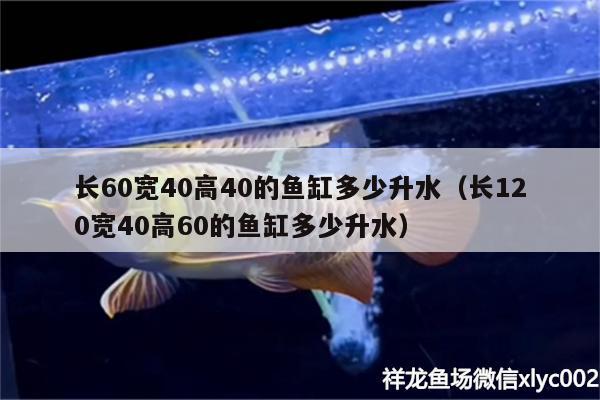 长60宽40高40的鱼缸多少升水（长120宽40高60的鱼缸多少升水）