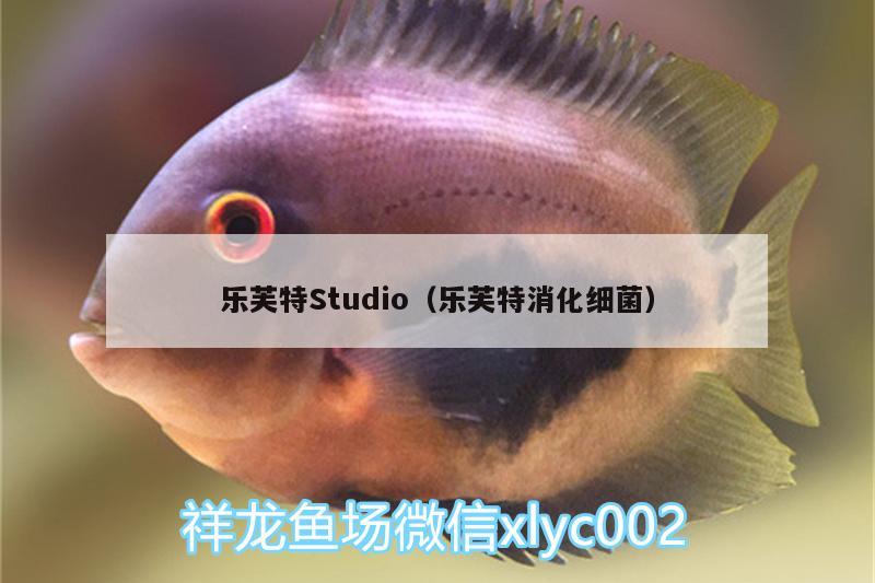 乐芙特Studio（乐芙特消化细菌） 观赏鱼企业目录 第1张