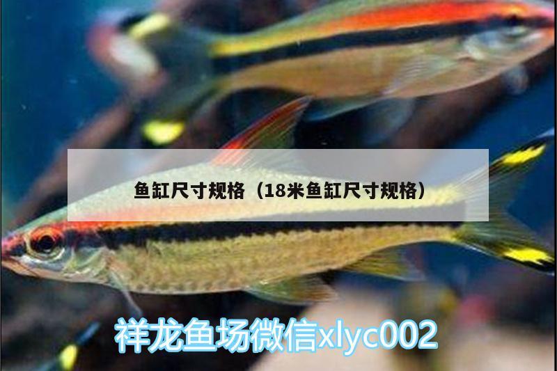 鱼缸尺寸规格（18米鱼缸尺寸规格） 新加坡号半红龙鱼（练手级红龙鱼） 第2张