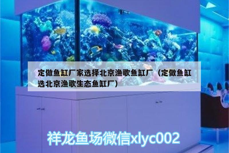 定做鱼缸厂家选择北京渔歌鱼缸厂（定做鱼缸选北京渔歌生态鱼缸厂） 斑马狗头鱼