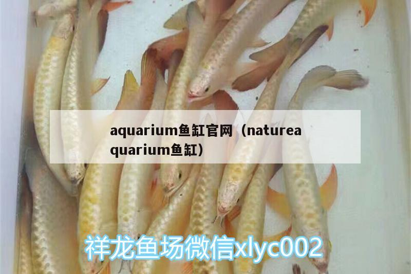 aquarium鱼缸官网（natureaquarium鱼缸）