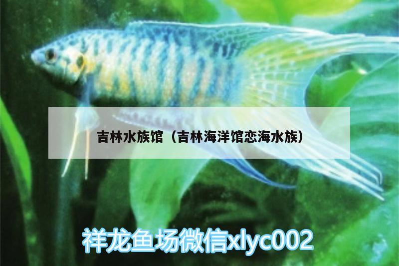 吉林水族馆（吉林海洋馆恋海水族） 广州水族器材滤材批发市场