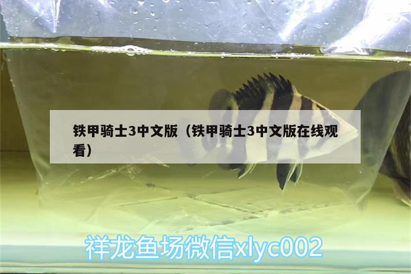 铁甲骑士3中文版（铁甲骑士3中文版在线观看） 肺鱼