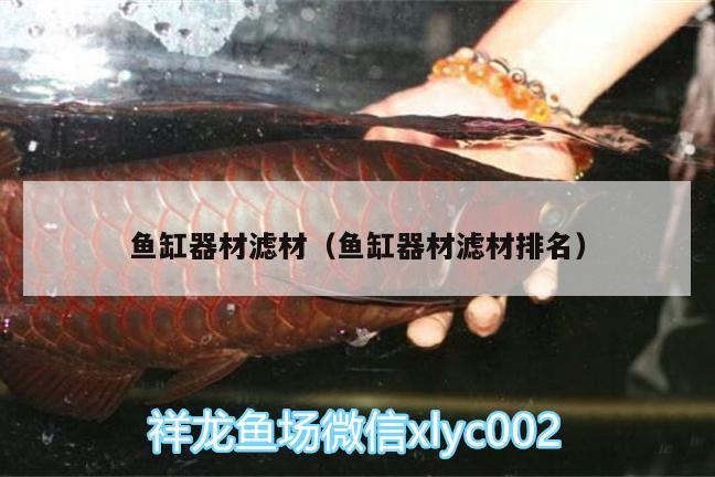 鱼缸器材滤材（鱼缸器材滤材排名） 朱巴利鱼