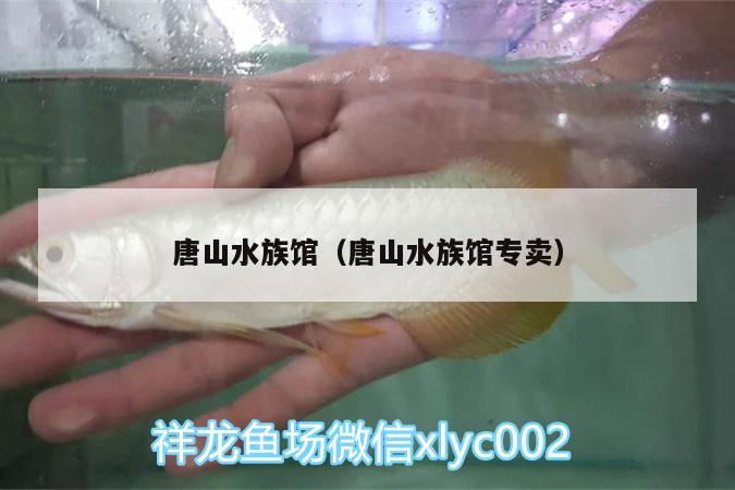 唐山水族馆（唐山水族馆专卖） 红龙专用鱼粮饲料