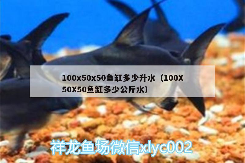 100x50x50鱼缸多少升水（100X50X50鱼缸多少公斤水） 大日玉鲭鱼