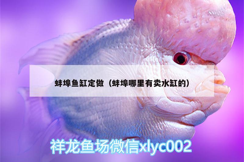 蚌埠鱼缸定做（蚌埠哪里有卖水缸的） 广州水族器材滤材批发市场