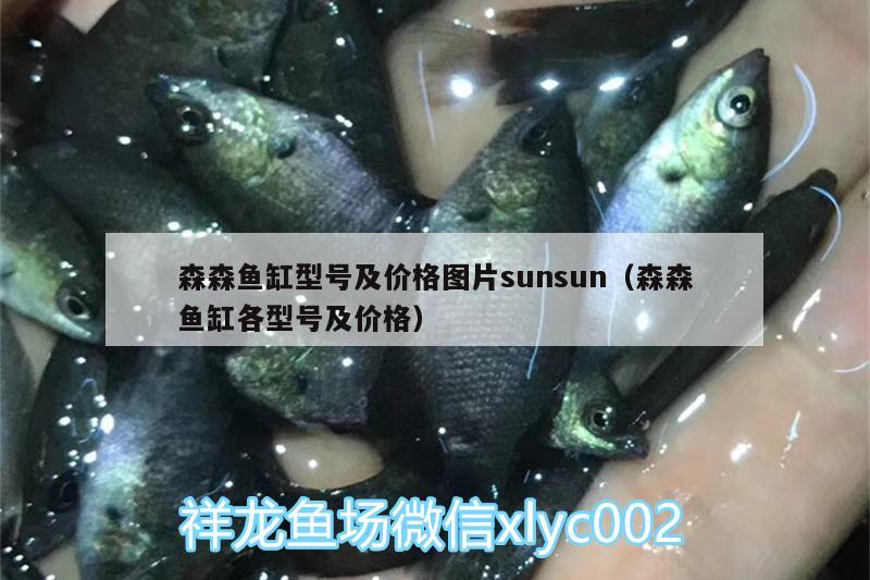 森森鱼缸型号及价格图片sunsun（森森鱼缸各型号及价格）