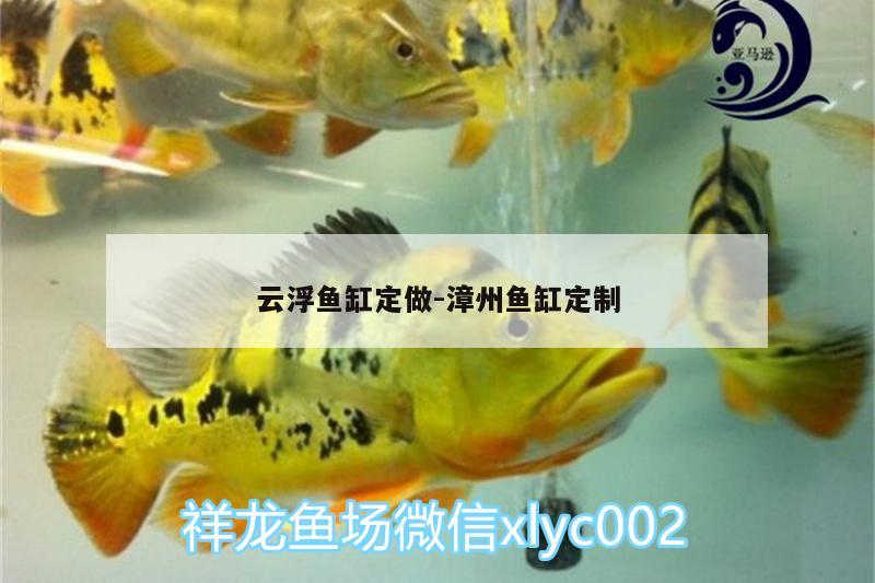 云浮鱼缸定做:漳州鱼缸定制 祥龙赫舞红龙鱼
