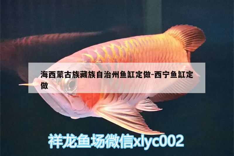 海西蒙古族藏族自治州鱼缸定做:西宁鱼缸定做 南美异型鱼
