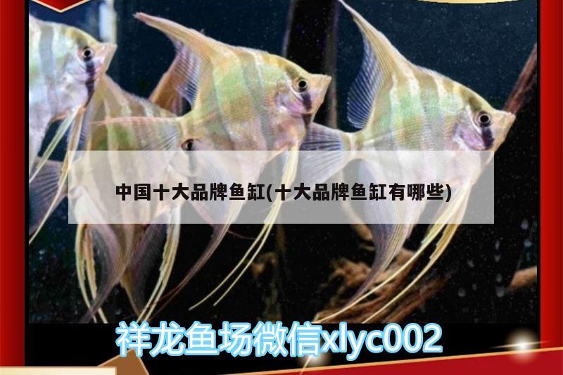 中国十大品牌鱼缸(十大品牌鱼缸有哪些)