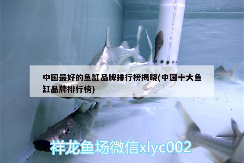 中国最好的鱼缸品牌排行榜揭晓(中国十大鱼缸品牌排行榜) 龙鱼专用灯