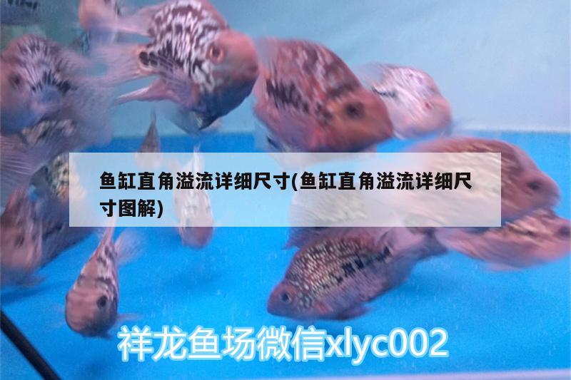 鱼缸直角溢流详细尺寸(鱼缸直角溢流详细尺寸图解) 广州水族器材滤材批发市场