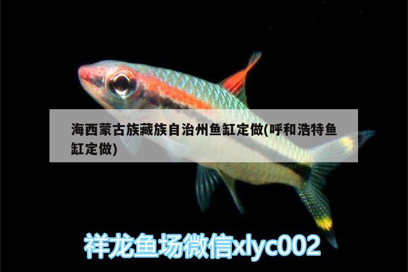 海西蒙古族藏族自治州鱼缸定做(呼和浩特鱼缸定做) 虎纹银版鱼