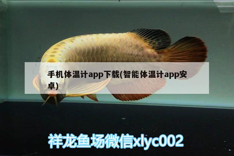 手机体温计app下载(智能体温计app安卓) 短身红龙鱼