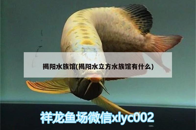 揭阳水族馆(揭阳水立方水族馆有什么) 鱼粮鱼药 第4张