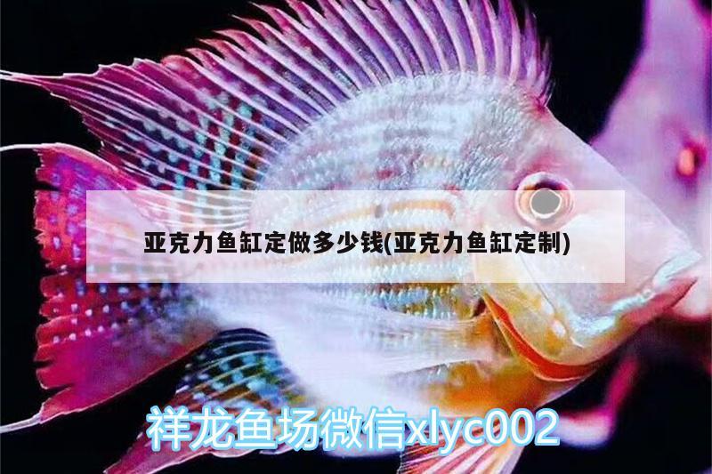 亚克力鱼缸定做多少钱(亚克力鱼缸定制) 广州水族器材滤材批发市场