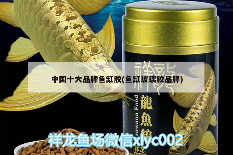 中国十大品牌鱼缸胶(鱼缸玻璃胶品牌) 细线银版鱼