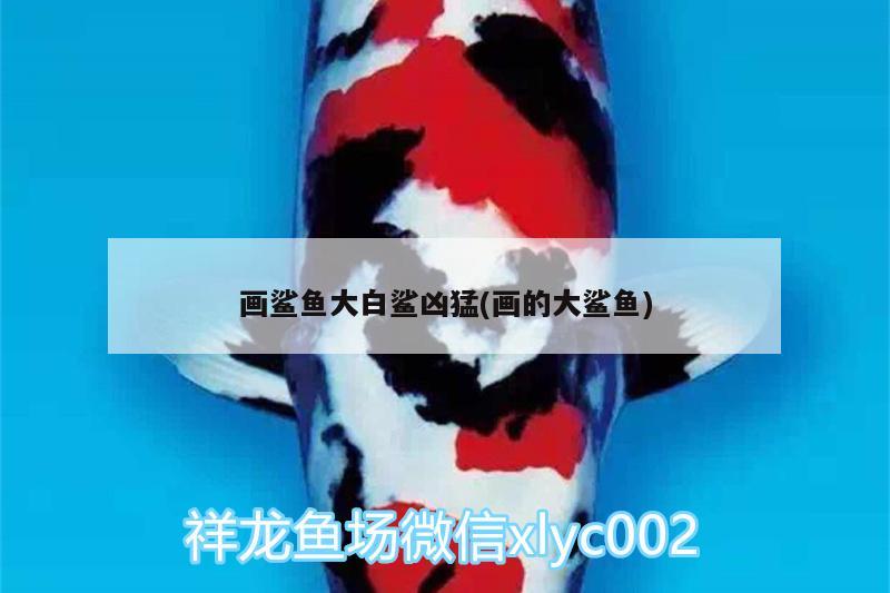 画鲨鱼大白鲨凶猛(画的大鲨鱼) 红魔王银版鱼