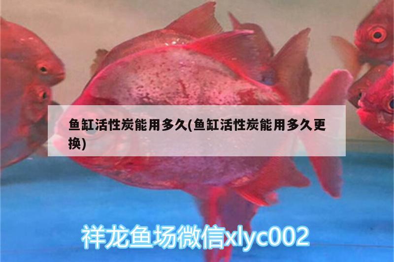 鱼缸活性炭能用多久(鱼缸活性炭能用多久更换) 白写锦鲤鱼
