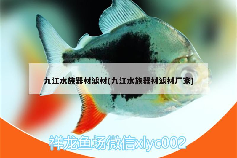 九江水族器材滤材(九江水族器材滤材厂家) 双线侧鱼