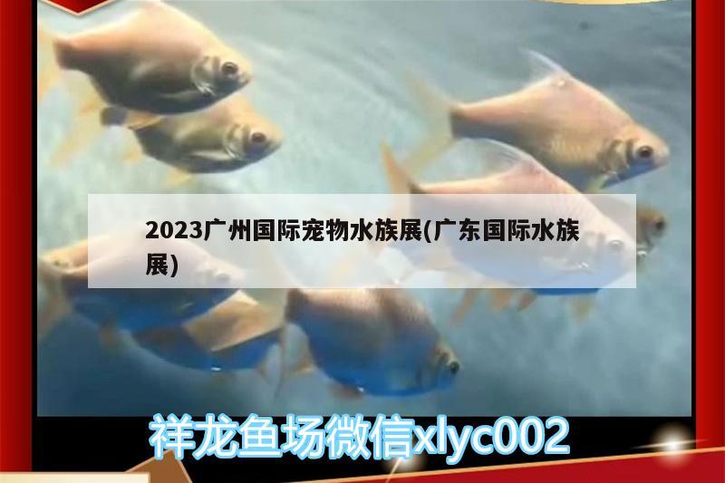 2023广州国际宠物水族展(广东国际水族展) 水族展会