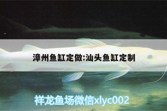 漳州鱼缸定做:汕头鱼缸定制 粗线银版鱼