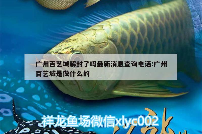 广州百艺城解封了吗最新消息查询电话:广州百艺城是做什么的 埃及神仙鱼