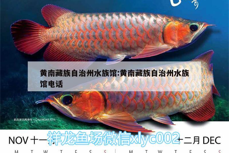 黄南藏族自治州水族馆:黄南藏族自治州水族馆电话