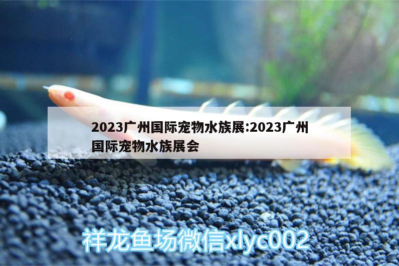 2023广州国际宠物水族展:2023广州国际宠物水族展会 水族展会