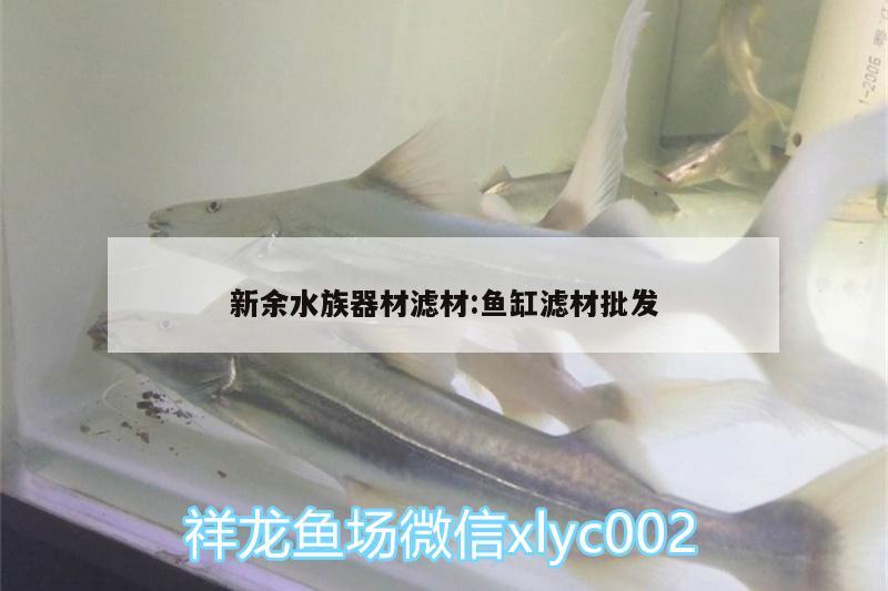 新余水族器材滤材:鱼缸滤材批发 广州水族批发市场