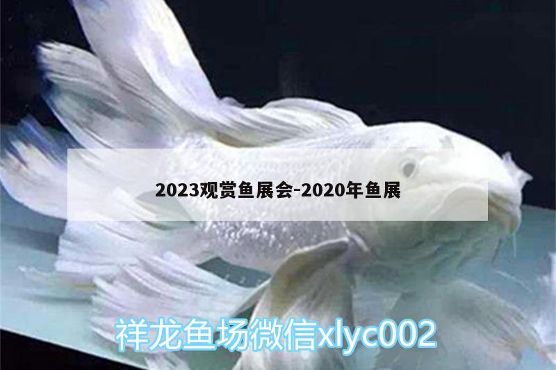 2023观赏鱼展会:2020年鱼展