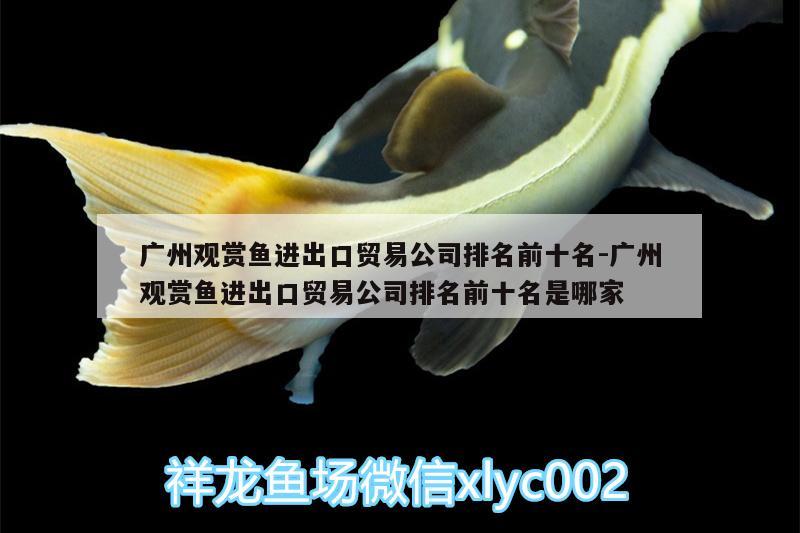 广州观赏鱼进出口贸易公司排名前十名:广州观赏鱼进出口贸易公司排名前十名是哪家